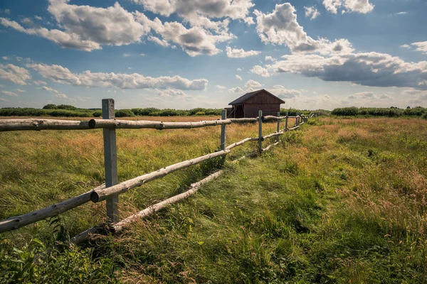 Calowanie Moeras Veenmoeras Het Masoviaanse Landschapspark Karczew Polen — Stockfoto