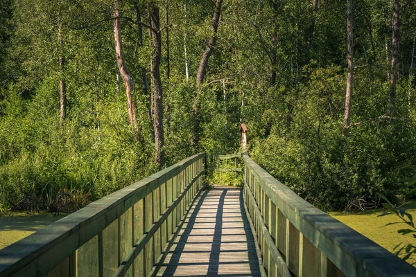 Bažina Calowanie Dřevěná Lávka Rašeliništi Masovském Parku Karczew Polsko — Stock fotografie