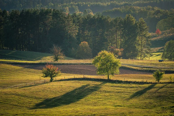 Uitzicht Velden Weiden Bossen Typisch Podlasie Landschap Tijdens Ondergaande Zon — Stockfoto