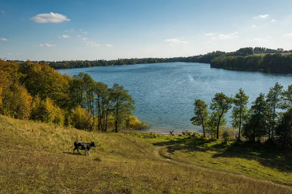 View Hancza Lake Autumn Podlaskie Poland — Stock Photo, Image