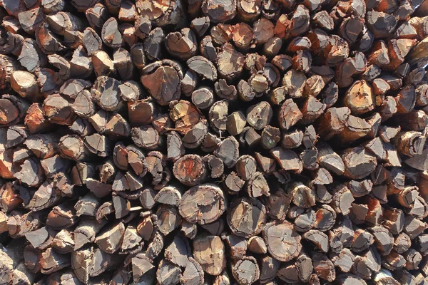 toprakta çok yakacak odun