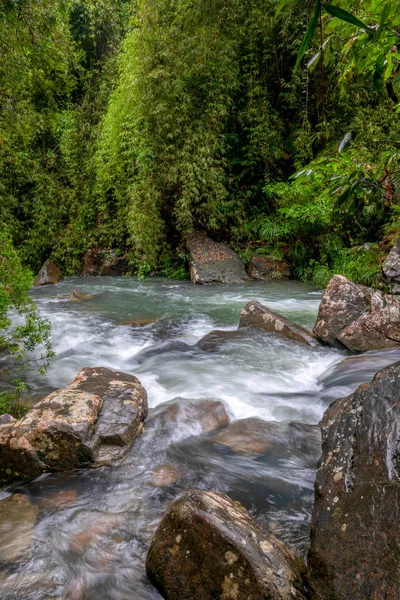 Wasserfall Wasser Natur Fluss Strom Wald Landschaft Kaskade Grüne Felsen — Stockfoto