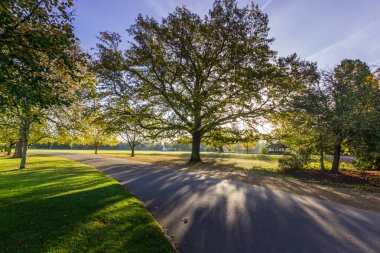 Londra, İngiltere - 30 Ekim 2017: Dulwich park, ağaçlar ve mavi gökyüzü, kesek ve soğuk sabah çizgiler güneş güzel gündoğumu.