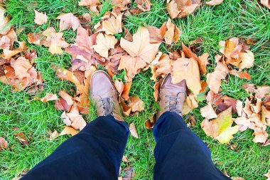 Aşağı bakıyor sonbahar yaprakları.