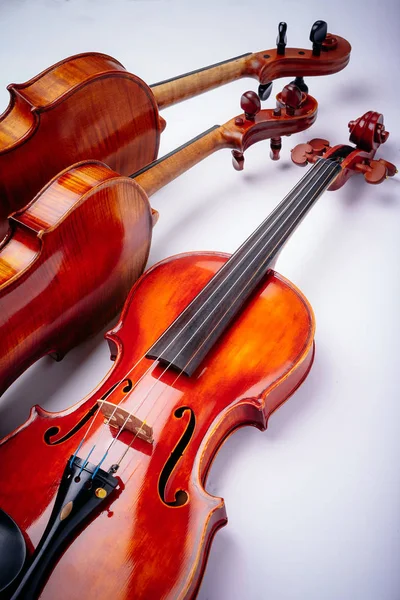 Wihte 바이올린 — 스톡 사진
