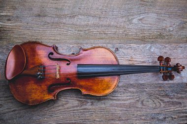 Bir tabloda kaba unplaned kurulların antik keman