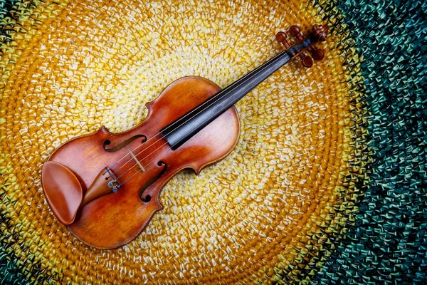 따뜻한 양탄자에는 바이올린 — 스톡 사진