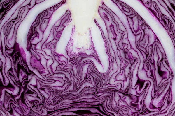red cabbage texture background