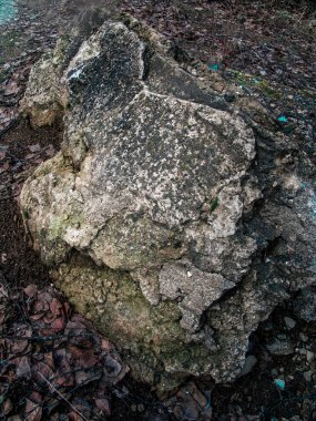 yukarıdan yeşil taş dokusuna vurdu