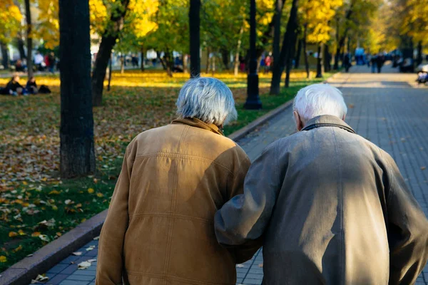 Arkadan sonbahar day.shot Park'ta yürüyordunuz yaşlı çift