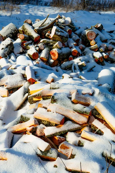 Gehakte hout onder de sneeuw — Stockfoto