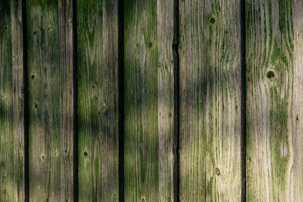 Stare deski zielony ściana — Zdjęcie stockowe