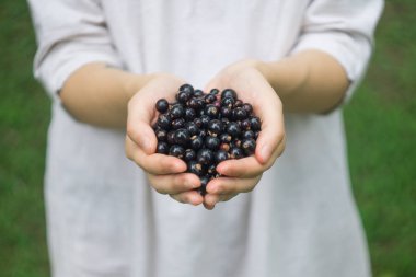 Olgun orman blackcurrant blackberry bir genç kadın veya kız elinde bir avuç