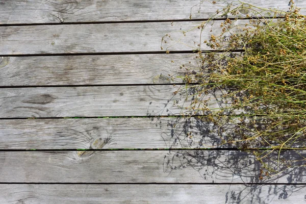Sfondo in legno texture di colore grigio whith erbe — Foto Stock