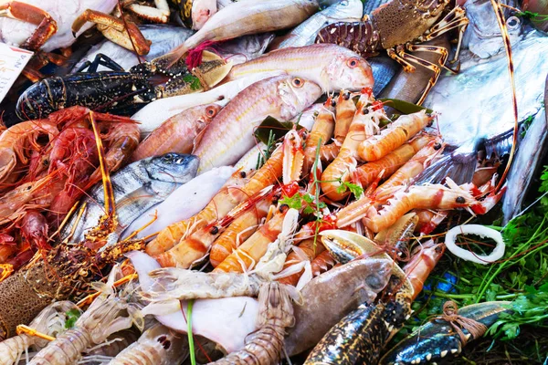 Assorted Fresh Raw Ocean Sea Fishes Seafood Market Sea Urchins — Stock Photo, Image