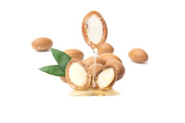 Argan beyaz bir arka plan üzerinde izole tohumları. Argan yağı ve argan fındık kavramı