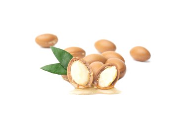 Argan beyaz bir arka plan üzerinde izole tohumları. Argan yağı ve argan fındık kavramı