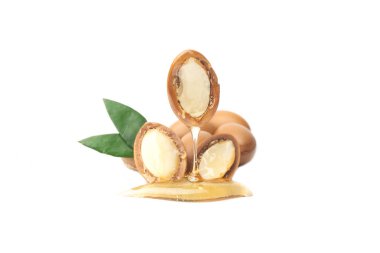 Argan beyaz bir arka plan üzerinde izole tohumları. Argan yağı ve argan fındık kavramı