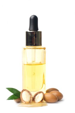 Argan beyaz bir arka plan üzerinde izole tohumları. Argan yağı ve argan fındık kavramı