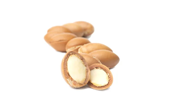 Semi Argan Isolati Fondo Bianco Olio Argan Noci Argan Concetto — Foto Stock