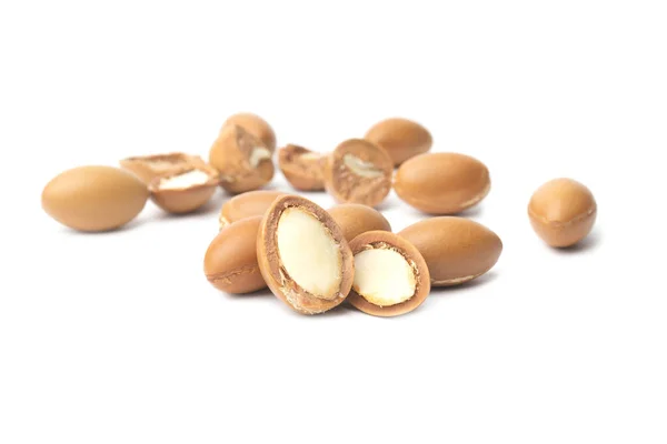 Semi Argan Isolati Fondo Bianco Olio Argan Noci Argan Concetto — Foto Stock