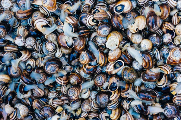 Caracóis Uva Fundo Alimentar Mercado Marrakesh Medina Marrocos — Fotografia de Stock