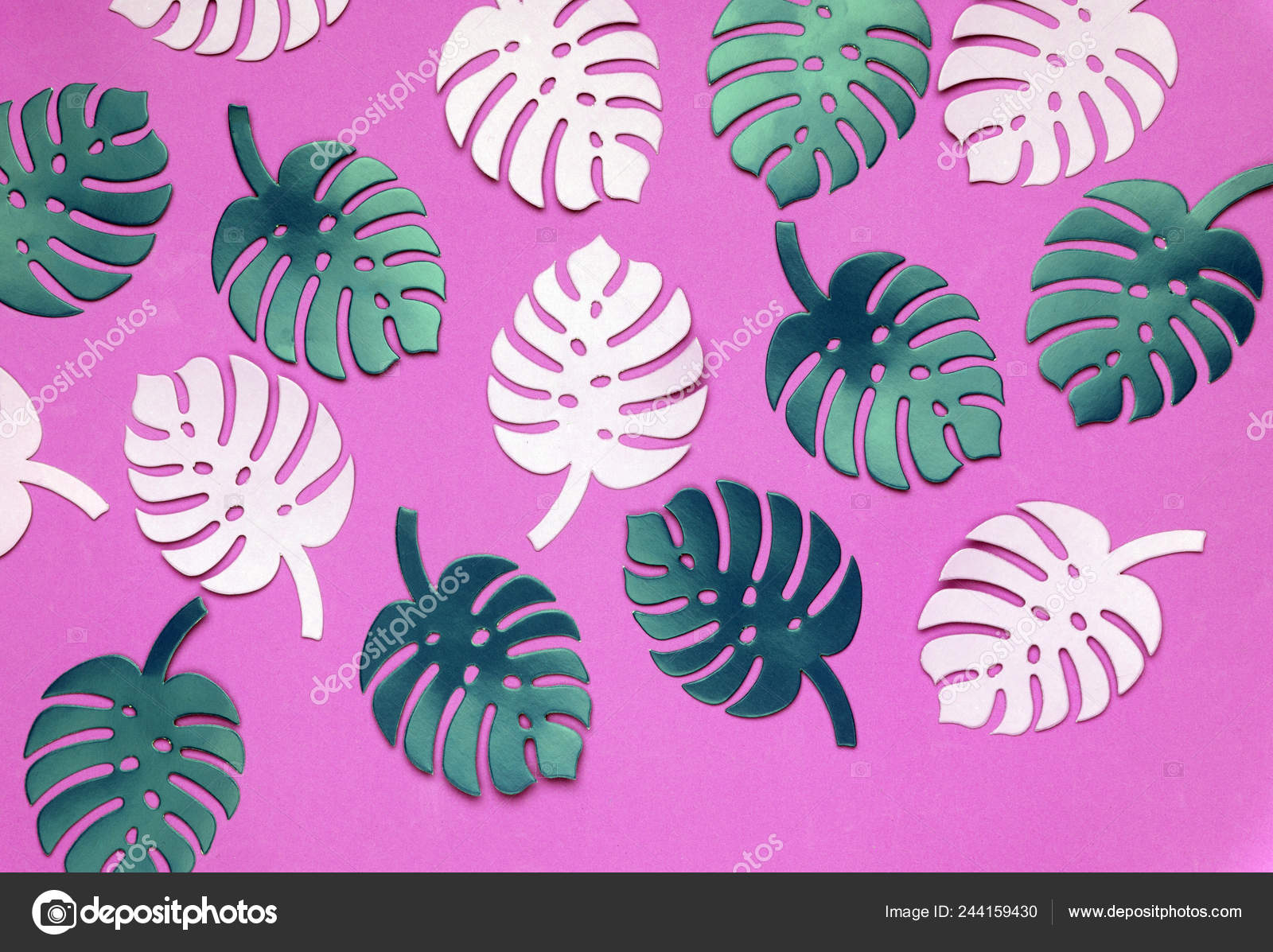 Colored Monstera Plant Background Monstera Leaves Plastic Pink Background Summer Stock Photo Image By C Pustosh