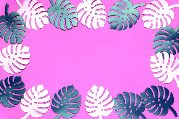 Χρωματιστά Μονστέρα Φυτό Φόντο Μονστέρα Φύλλα Πλαστικά Ροζ Φόντο Ελάχιστη — Φωτογραφία Αρχείου