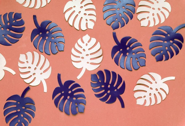 Colored monstera plant background. Monstera leaves on coral color background. Summer minimal concept.