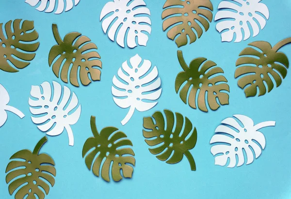 Colored monstera plant background. Monstera leaves on turquoise background. Summer minimal concept.