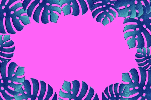 Colored monstera plant background. Monstera leaves on plastic pink background. Summer minimal concept. Space for text