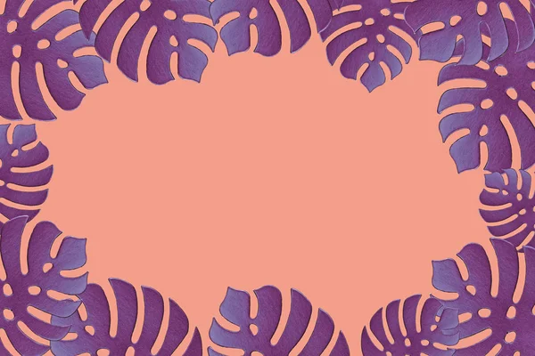 Colored monstera plant background. Monstera leaves on coral color background. Summer minimal concept. Space for text