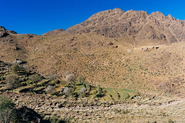 Marokko Tourismus Trekking Mann Den Bergen Atlasgebirge Jebel Sakhro Djebel — Stockfoto