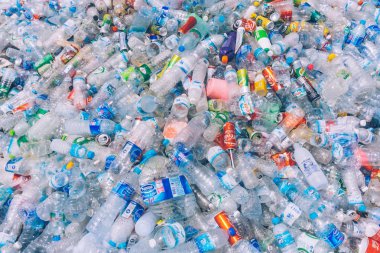 Plastik kirliliği orman. Kirli plastik şişe ve bir çöp torbası. Deniz kirliliği, su plastik. Eko kavramı kirliliği ve geri dönüşüm. Arka plan