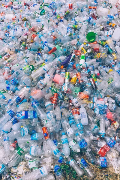 Plastik kirliliği orman. Kirli plastik şişe ve bir çöp torbası. Deniz kirliliği, su plastik. Eko kavramı kirliliği ve geri dönüşüm. Arka plan