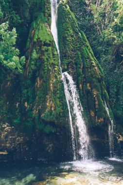 Dağ şelale orman. Nehir orman. Asya. SOU