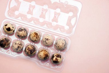 Bir plastik yumurta kartonu bıldırcın yumurtası