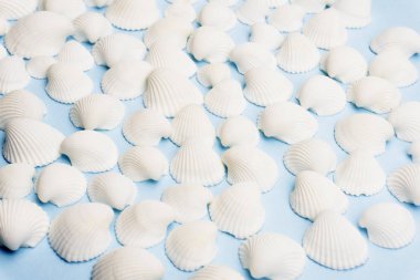 Parlak mavi arka beyaz deniz kabukları ile yaz kompozisyon