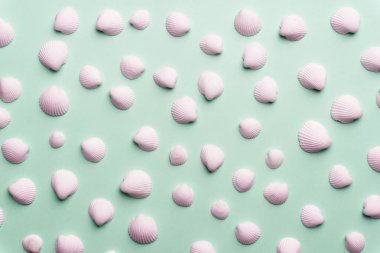 Parlak pastel GRE beyaz deniz kabuğu ile yaz kompozisyon