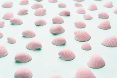 Parlak pastel GRE beyaz deniz kabuğu ile yaz kompozisyon