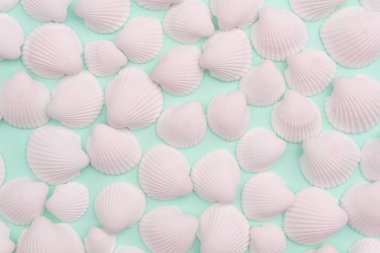 Parlak pastel GRE beyaz deniz kabuğu ile yaz kompozisyon