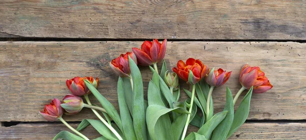 Flowers composition from red tulips on an old wooden background — Stock Photo, Image