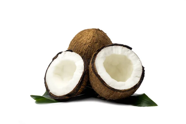 Coco isolado com folhas sobre fundo branco — Fotografia de Stock