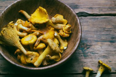 Ahşap bir arka plan üzerinde Chanterelle mantar. Çiğ mantar bir