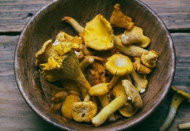 Ahşap bir arka plan üzerinde Chanterelle mantar. Çiğ mantar bir