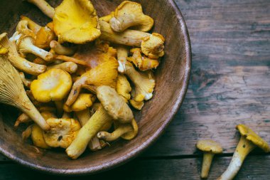 Ahşap bir arka plan üzerinde Chanterelle mantar. Çiğ mantar bir