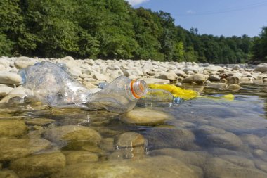 Sudaki plastik kirliliği. Nehirde kirli plastik şişeler. Po