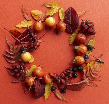 Arka planda kal. Sonbahar, çerçeveyi kırmızı arkaplanda bırakır