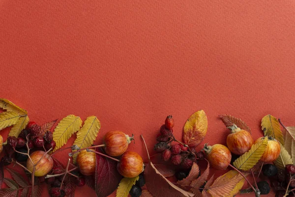 Fall background. Fall leaves on a red background