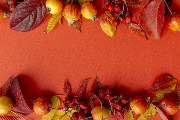 Fall bakgrund. Faller löv ram på en röd bakgrund — Stockfoto